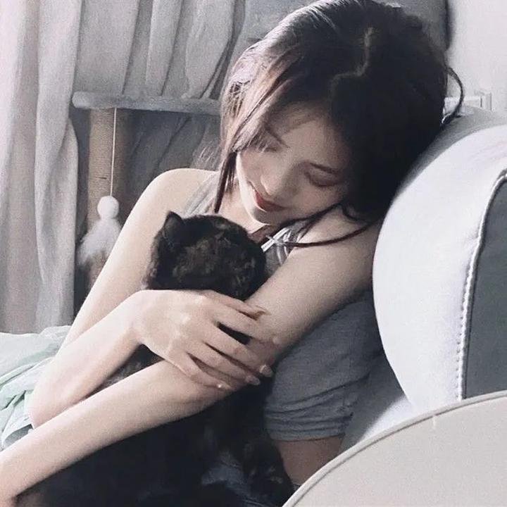 铁证悬案第七季