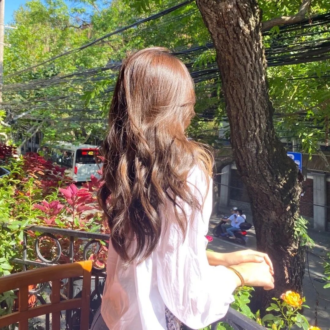 苏菲的供词